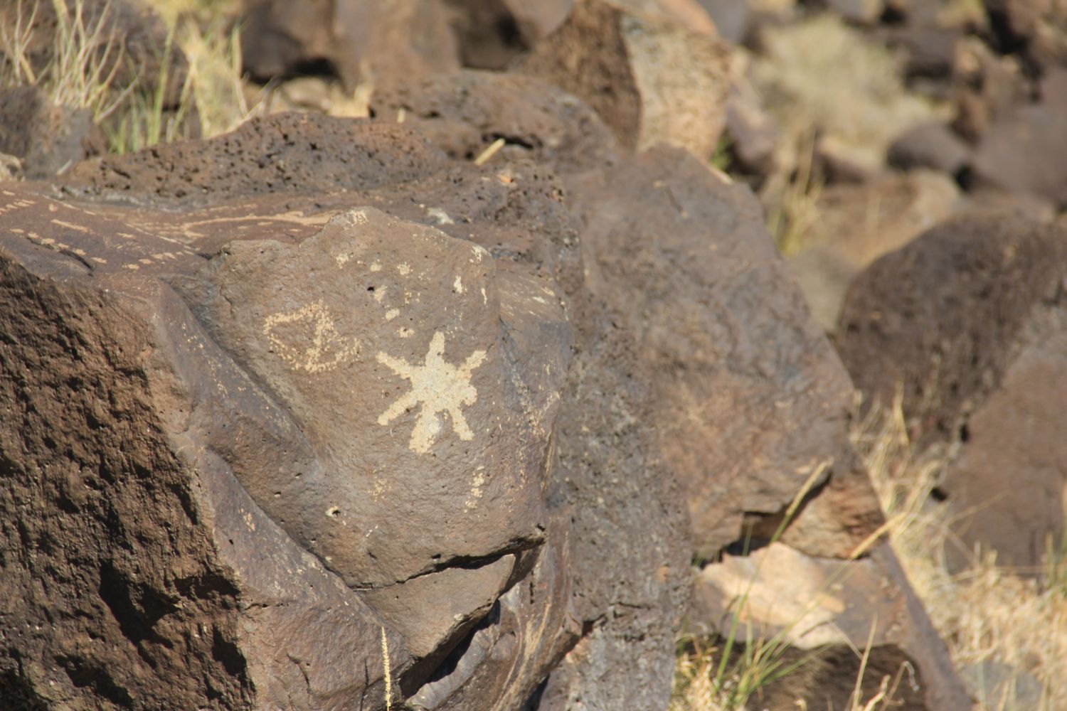 Petroglyph National Monument 